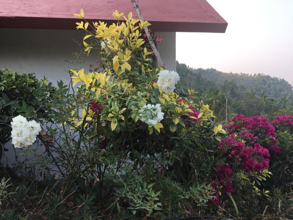 Hotel Tea Terrace Vythiri Wayanad Exterior foto