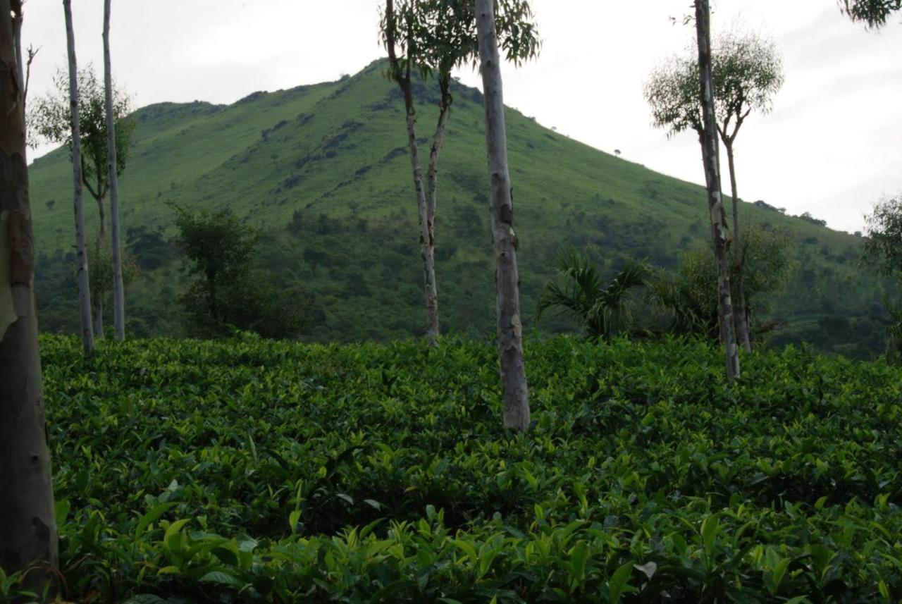 Hotel Tea Terrace Vythiri Wayanad Exterior foto