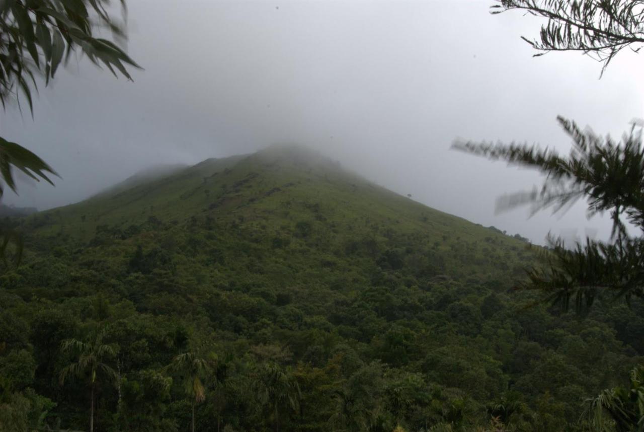 Hotel Tea Terrace Vythiri Wayanad Exterior foto