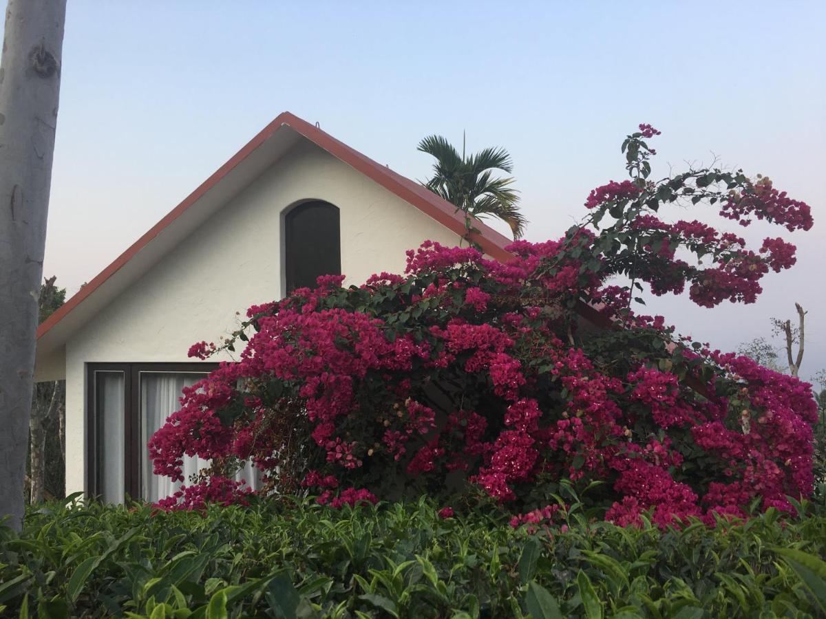 Hotel Tea Terrace Vythiri Wayanad Exterior foto